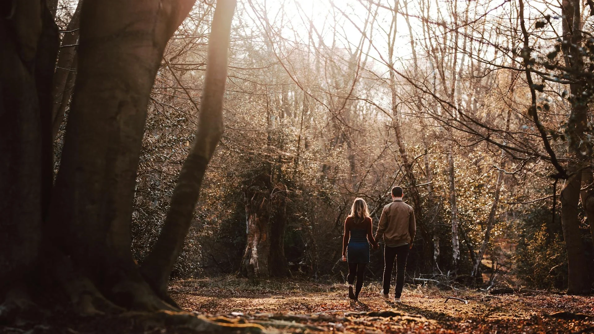 Couple walking hand in hand through a sunlit woodland path