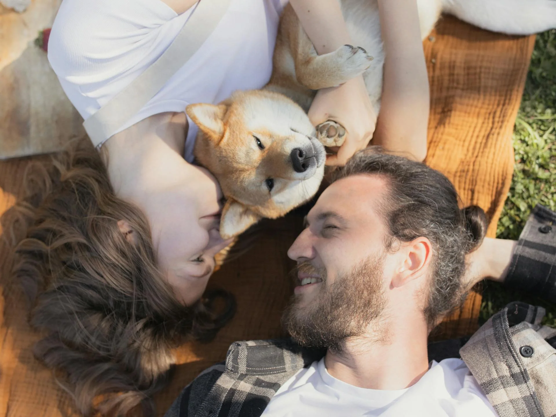 Couple cuddling on a blanket in the park with their Shiba Inu