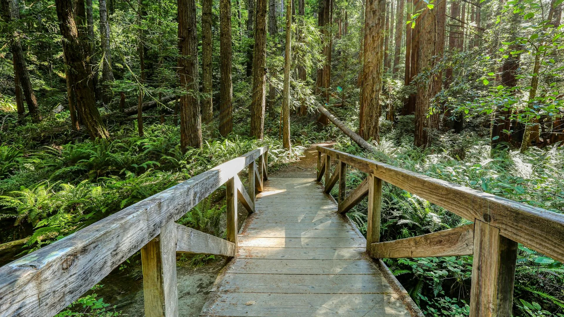 Supportive therapy environment