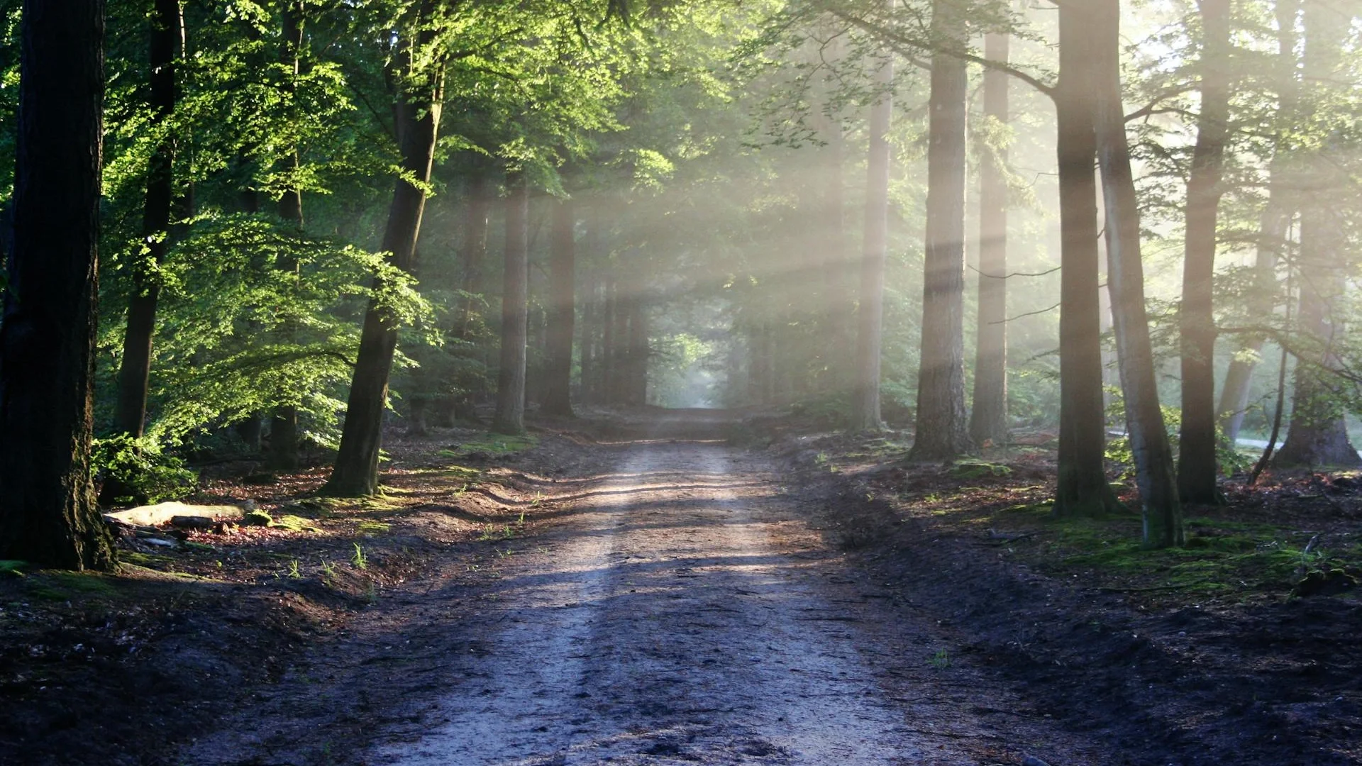 Supportive therapy environment for depression