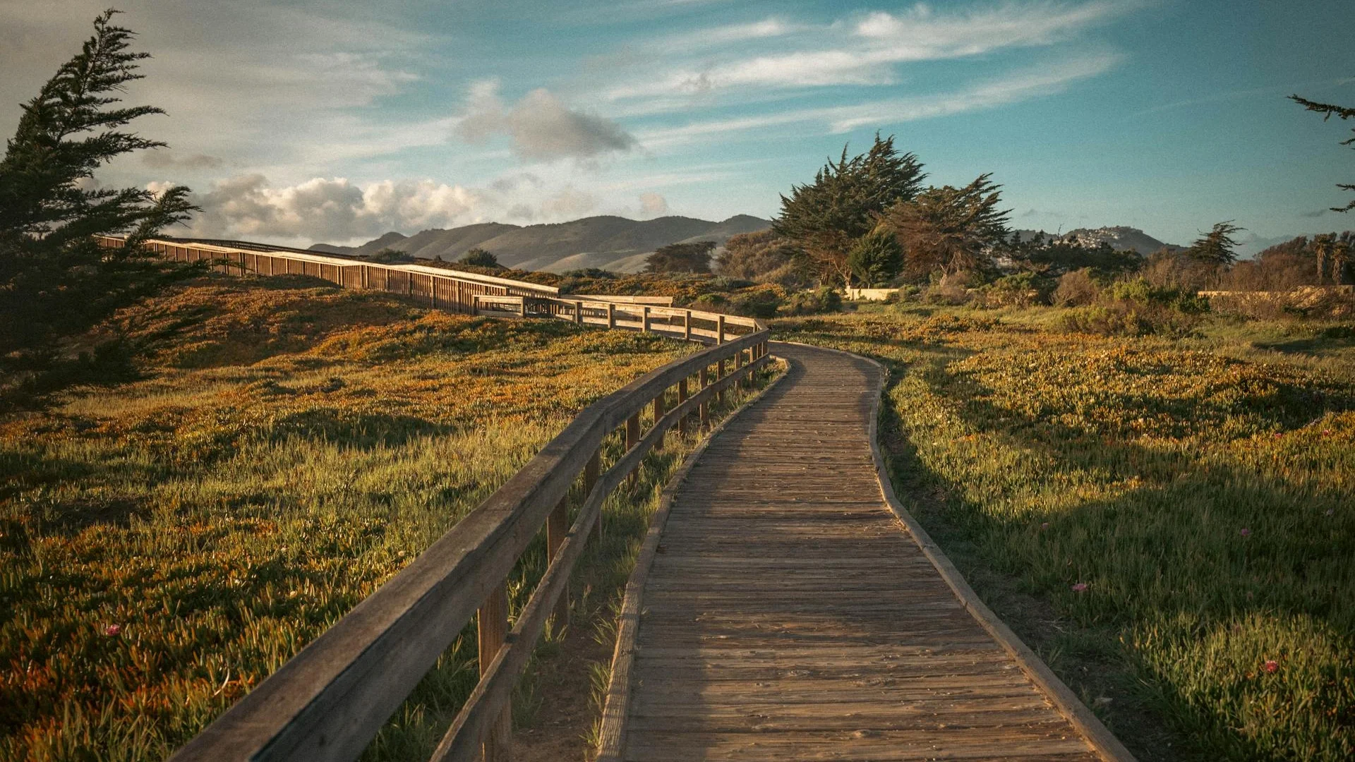 Compassionate support for grief and loss
