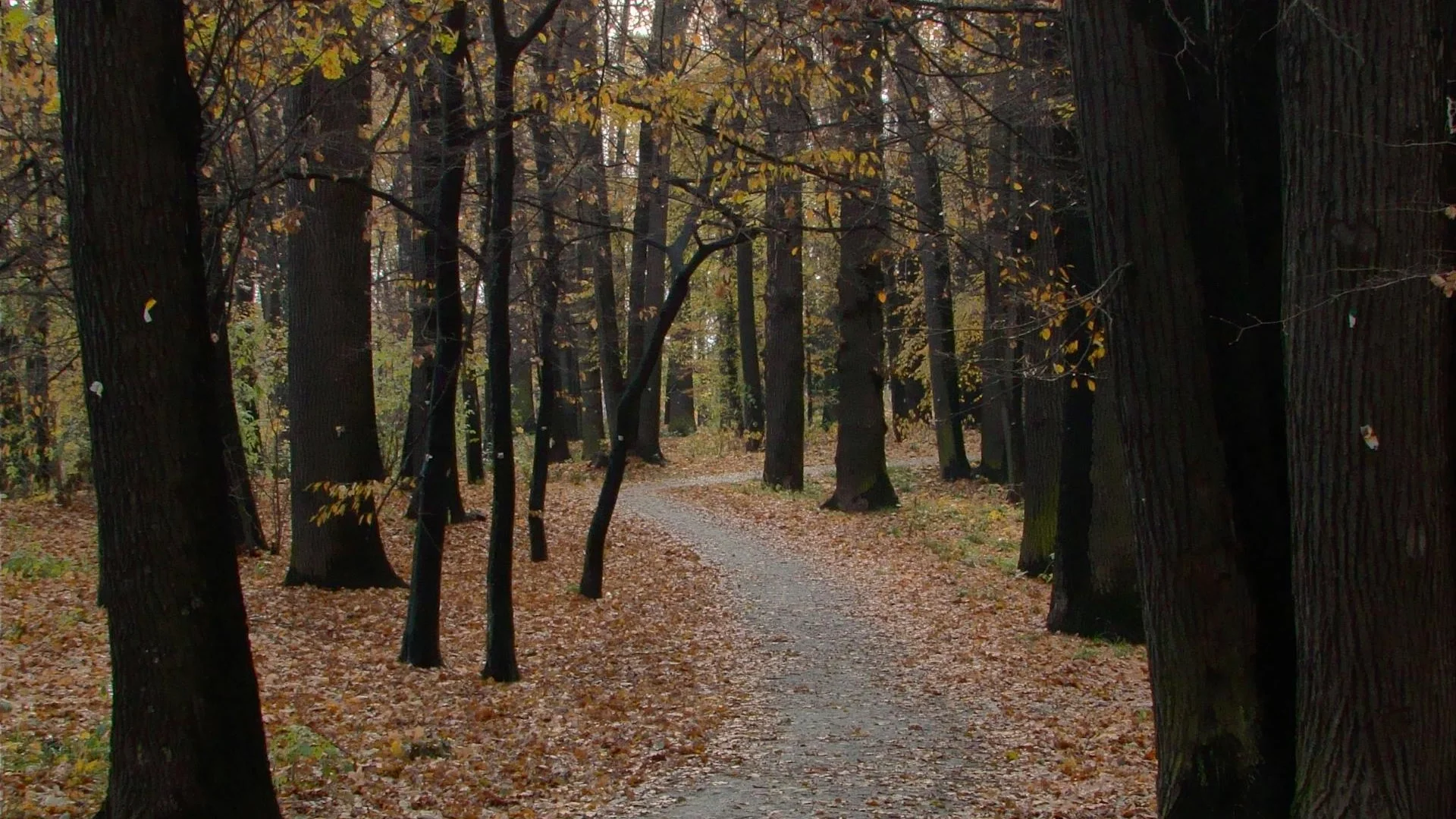 Safe, grounding therapy environment for trauma healing
